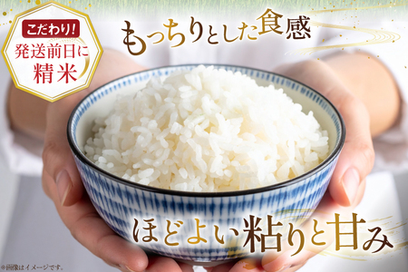 米 令和7年産 ゆめぴりか 5kg×3ヶ月 定期便 計15kg 砂川産 特A [松田産業 北海道 砂川市 12260865] 