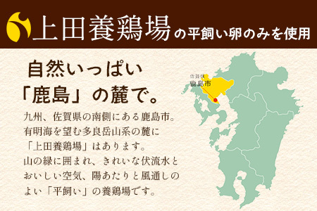 ＼濃厚卵のマヨネーズ／瓶詰め マヨネーズ 5本セット | 上田養鶏場のこっこの陽なたマヨ 170g | マヨネーズ マヨ 調味料 たまご 平飼い お料理 安心 安全 玉子 サラダ ディップ ポテトサラダ ドレッシング 送料無料　C-173