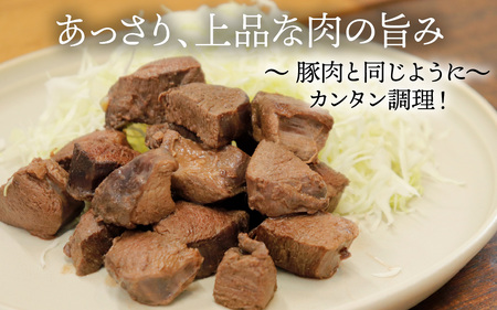 能登 穴水産 天然猪肉 ヒレ ブロック 約500g | いのしし 肉 天然