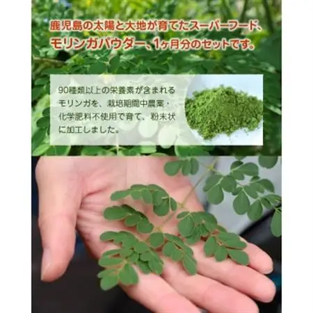 鹿児島TELLASファームのモリンガパウダー1か月分【1185879】