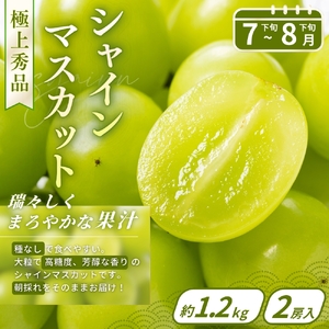 【フルーツ定期便・全4回】品質に自信あり！くしがきの里から直送　桃・シャインマスカット・はれひめ・まりひめを季節ごとにお届け♪ / 定期便 桃 もも みかん 柑橘 シャインマスカット マスカット いちご イチゴ 苺 果物 フルーツ 4回【BK-kgr038】