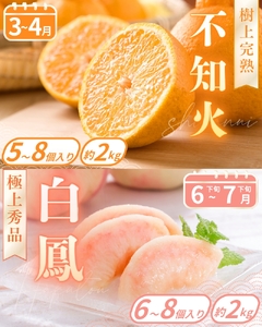 【フルーツ定期便・全9回】品質に自信あり！くしがきの里から直送　人気の果物を贅沢に楽しめる♪  / 定期便 桃 もも みかん 柑橘 シャインマスカット ぶどう 柿 キウイ マスカット いちご 不知火 はれひめ イチゴ 苺 果物 フルーツ 9回【BK-kgr040】