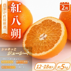 【柑橘堪能定期便】人気の3種を食べ比べ♪（はれひめ・紅はっさく・不知火） / 和歌山県 かつらぎ町 定期便 みかん 柑橘 果物 フルーツ 3回【BK-kgr042】