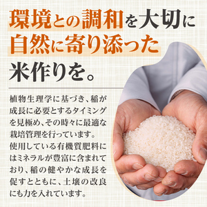 i1179-C 令和7年産 鹿児島県 出水市産 なつほのか (計20kg・5kg×4袋) 米 20kg なつほのか 鹿児島 20キロ お米 九州 九州産 甘み 大粒 【いずみキッチン】