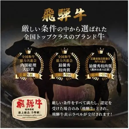 飛騨牛切り落とし計2kg【配送不可地域：離島】【1635763】