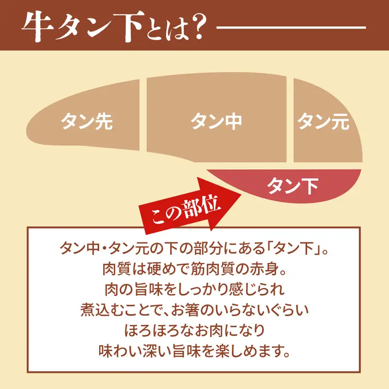 牛タン 訳あり 煮込み用 タン下 500g 牛たん