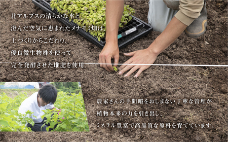 メナモミのサプリメント 「稀薟（きれん）」 120粒 30g サプリ メナモミ100% 野草 めなもみ サプリメント 無農薬 化学肥料不使用 錠剤 さぷりめんと ギフト 贈答 厳選 飛騨市 和草-nikogusa- ダブルニット