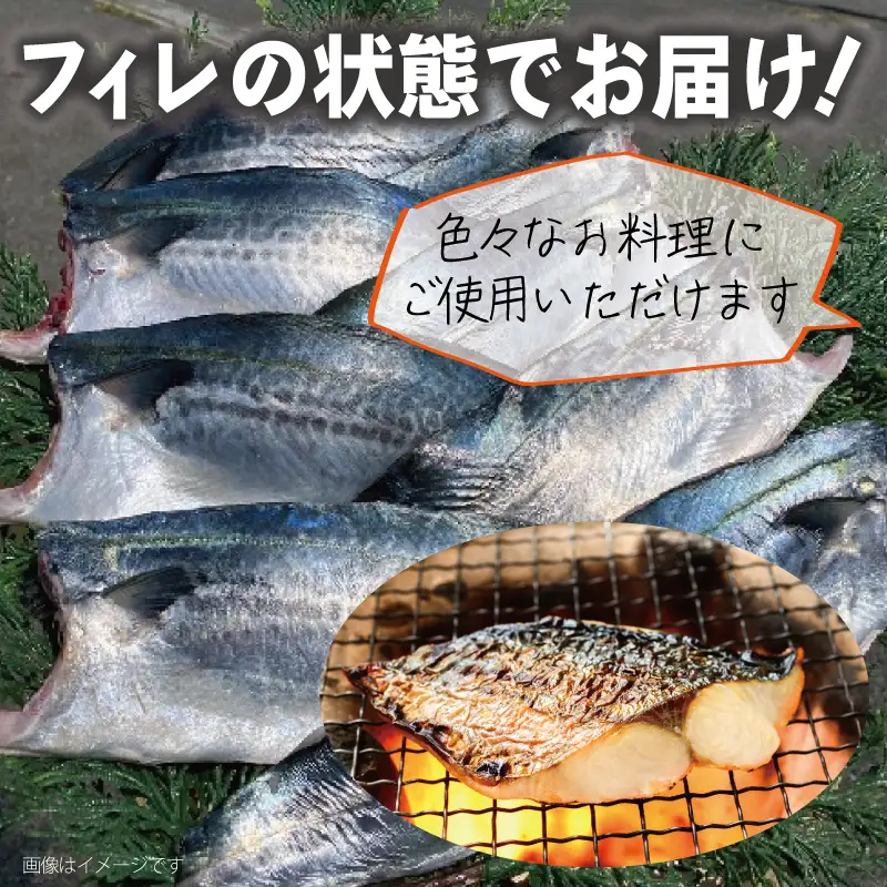 さごしフィレ 合計1kg以上 