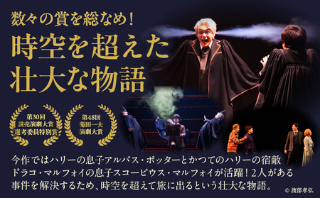 舞台『ハリー・ポッターと呪いの子』デジタルギフト　ブラック：12,000円分 │ 東京 鑑賞チケット 体験 