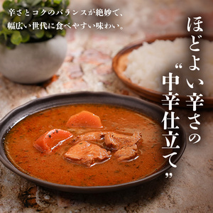 札幌スープカレー 中辛 200g 6個セットen01-00219			
