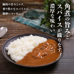 北海道 道産豚の角煮カレー 200g 10個セットen01-00230			