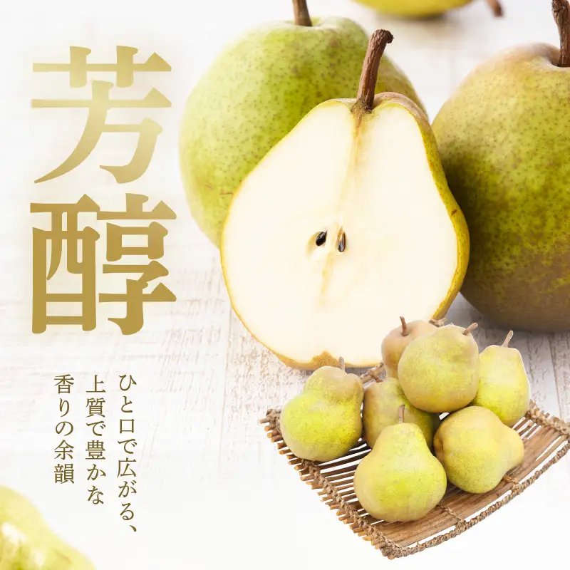 【先行予約】 令和8年産 ラ・フランス 約2kg 山形 西洋梨