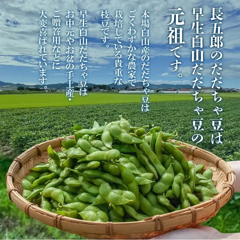 数量限定【令和8年産先行予約】 白山だだちゃ豆　1kg（500g × 2袋） + 訳あり200g　鶴岡市白山産　長五郎
