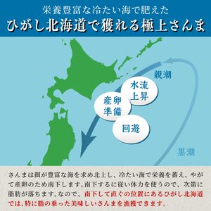 北海道産「刺身さんま」【12枚×2パック（12尾分）】_K008-1516