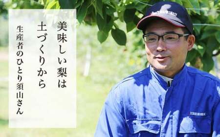 先行受付 南水梨 約5kg 10-20玉 ［小布施屋］令和8年産 【2026年9月下旬～10月下旬発送】［A-210］