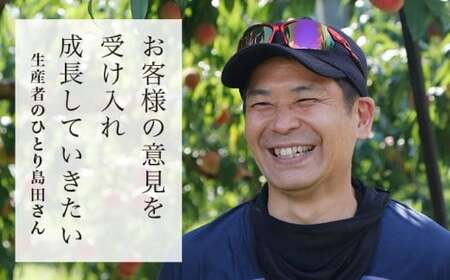 川中島白鳳 約3kg 7～12玉 ［おぶせファーマーズ］【2026年7月下旬～8月中旬発送】果物 フルーツ 桃 もも モモ クール便 冷蔵便 長野県産 信州産  令和8年産［F-14］