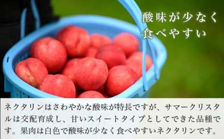 サマークリスタル 約2.6kg ［おぶせファーマーズ］先行予約 ネクタリン 果物 フルーツ 冷蔵便 クール便 長野県産 信州産  令和8年産【2026年7月中旬～8月上旬発送】［F-20］