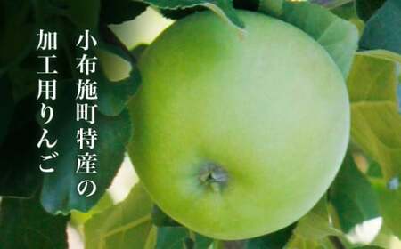 【訳あり】 ブラムリー 約3kg ［新規就農者応援コース 幸作会］長野県産 令和8年産【2026年8月末から順次発送】 ［KH-52］