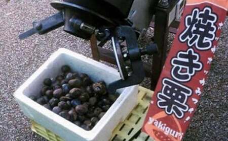 100％小布施栗の焼栗 約450g ［おぶせファーマーズ］ 果物 フルーツ 栗 くり 焼き栗 長野県産 信州産 令和8年産【2026年10月下旬～11月下旬発送】  ［F-36］