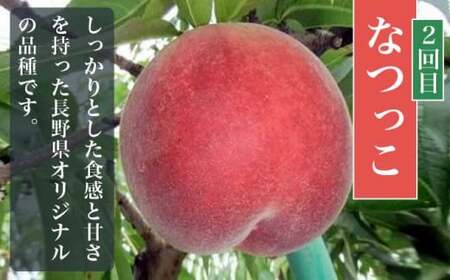 【3回定期便】小布施屋の 桃食べ比べ定期便 約1.8kg×3回 ［小布施屋］令和8年産【2026年7月末～9月上旬発送】[B-502]