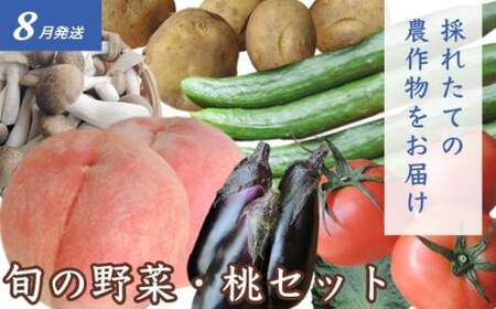 ［3回定期便］ 夏の味覚3回コース ［小布施屋］ 先行予約 フルーツ 果物 くだもの 野菜 やさい 数量限定 ネクタリン 桃 シャインマスカット ぶどう クール便 冷蔵 お楽しみ 3回お届け 長野県産 信州産 令和8年産 【2026年7月～10月発送】[D-2]