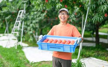 ワッサー 約3kg 7～12玉 ［おぶせファーマーズ］果物 フルーツ クール便 冷蔵便 長野県産 信州産 令和8年産【2026年8月上旬～下旬発送】［F-39］