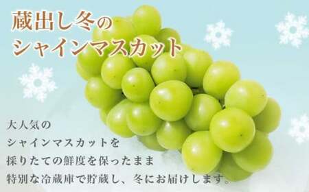 先行受付 蔵出し冬のシャインマスカット1房とふじりんご2玉のセット 約1.2kg ［小布施屋］フルーツ 果物 詰め合わせ 詰合せ 数量限定 シャインマスカット サンふじ 単身用 一人暮らし 2人暮らし 長野県産 信州産 令和8年産 【2026年12月中旬頃～2027年2月発送】［A-305］