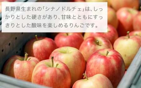【訳あり】シナノドルチェ 約3kg 6～12玉 ［ おぶせファーマーズ ］ 数量限定 期間限定 果物類 林檎 りんご リンゴ 規格外 不揃い フルーツ 長野県産 信州産 令和8年産 【2026年9月中旬～下旬発送】 ［FH-56］