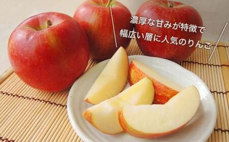 【訳あり】 シナノスイート 約3kg 6～12玉 ［おぶせファーマーズ］ 不揃い 規格外 家庭用  果物 フルーツ りんご 林檎 リンゴ 果物 フルーツ 長野県産 信州産 令和8年産 【2026年10月中旬～11月上旬発送】 ［FH-54］