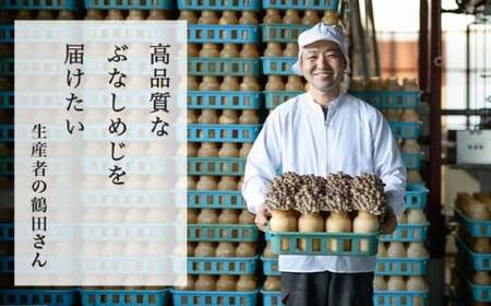  ぶなしめじ 300g × 6袋 ［おぶせファーマーズ］ きのこ キノコ 野菜 鍋 炒め物 長野 信州 ［FH-70］