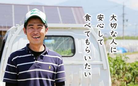  ［栽培期間中農薬・化学肥料不使用］OBUSE Meguru 野菜セット L 9～13種類 ［おぶせファーマーズ］野菜 詰め合わせ  おまかせ やさい 詰合せ お楽しみ 長野県産 信州 令和8年産 【2026年7月上旬より順次発送】  ［FY-3］
