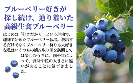 冷凍ブルーベリー 500g きらぼしファーム ブルーベリー