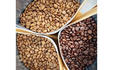 コーヒー 〈スペシャルティコーヒー飲み比べ〉コーヒー豆100g×2種（中煎＆深煎）豆or粉 食品 お菓子 モンキーポッド 豆 粉 コーヒー豆 珈琲 墨田区 東京都 豆