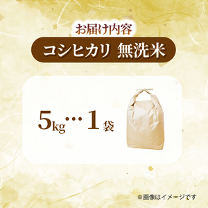 【先行予約】 令和8年度産 千葉県産 コシヒカリ 5kg 新米 無洗米
