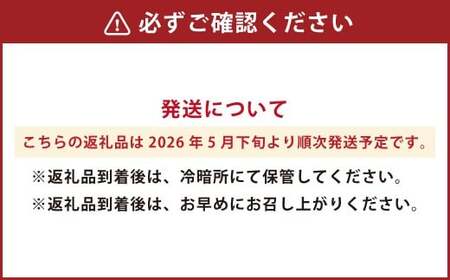 熊本産 スイカ L玉 1玉 6～7キロ フルーツ くだもの 果物 西瓜 すいか【2026年5月下旬発送開始】