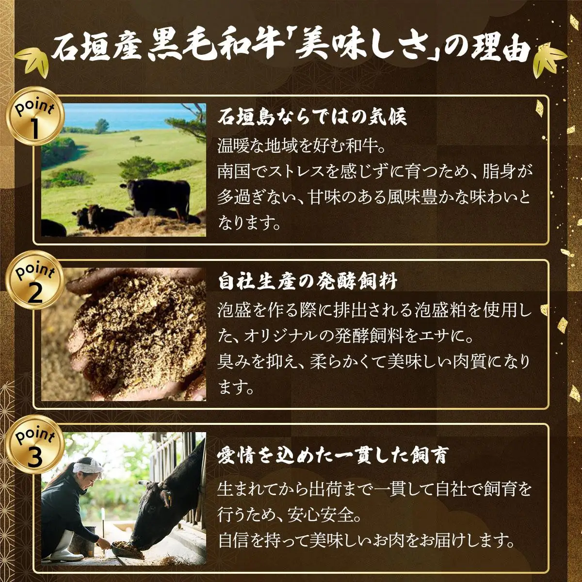 石垣島産経産黒毛和牛 1頭切り落とし 500g E-052