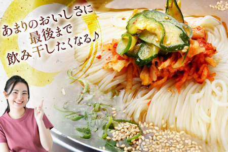 冷麺 りんご苑の冷麺 スープ付 5食 [りんご苑 山形県 高畠町 tk06ays660025]