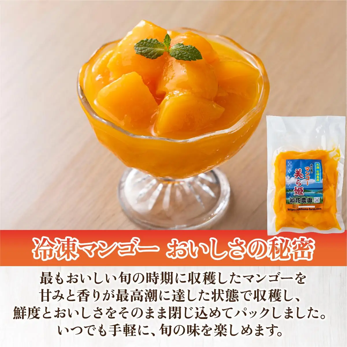 冷凍美ら姫マンゴー 1kg（500g×2袋）CB-3