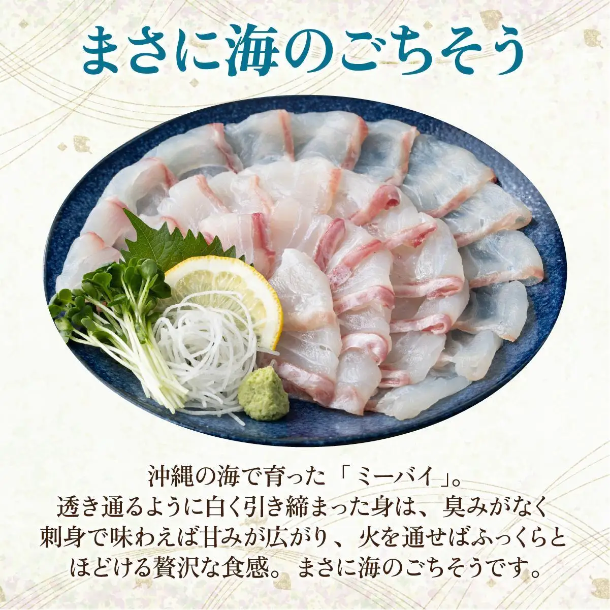 石垣島 ハタ ハーフフィーレ