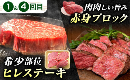 【6回定期便】肉のキング 飛騨牛満喫セット / 飛騨牛 サーロイン ステーキ 肉 詰め合わせ セット 岐阜県 / 御嵩町 / 肉のキング[AVAG020]