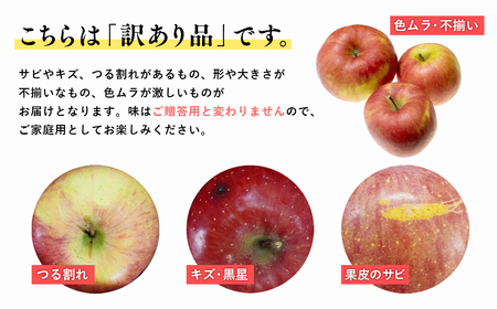 【レビューキャンペーン】6月 クール便発送【訳あり】家庭用有袋ふじ約5㎏【有袋ふじ・りんご・青森・平川・訳あり・家庭用・原田青果・5㎏】[hi-0059-009-6]