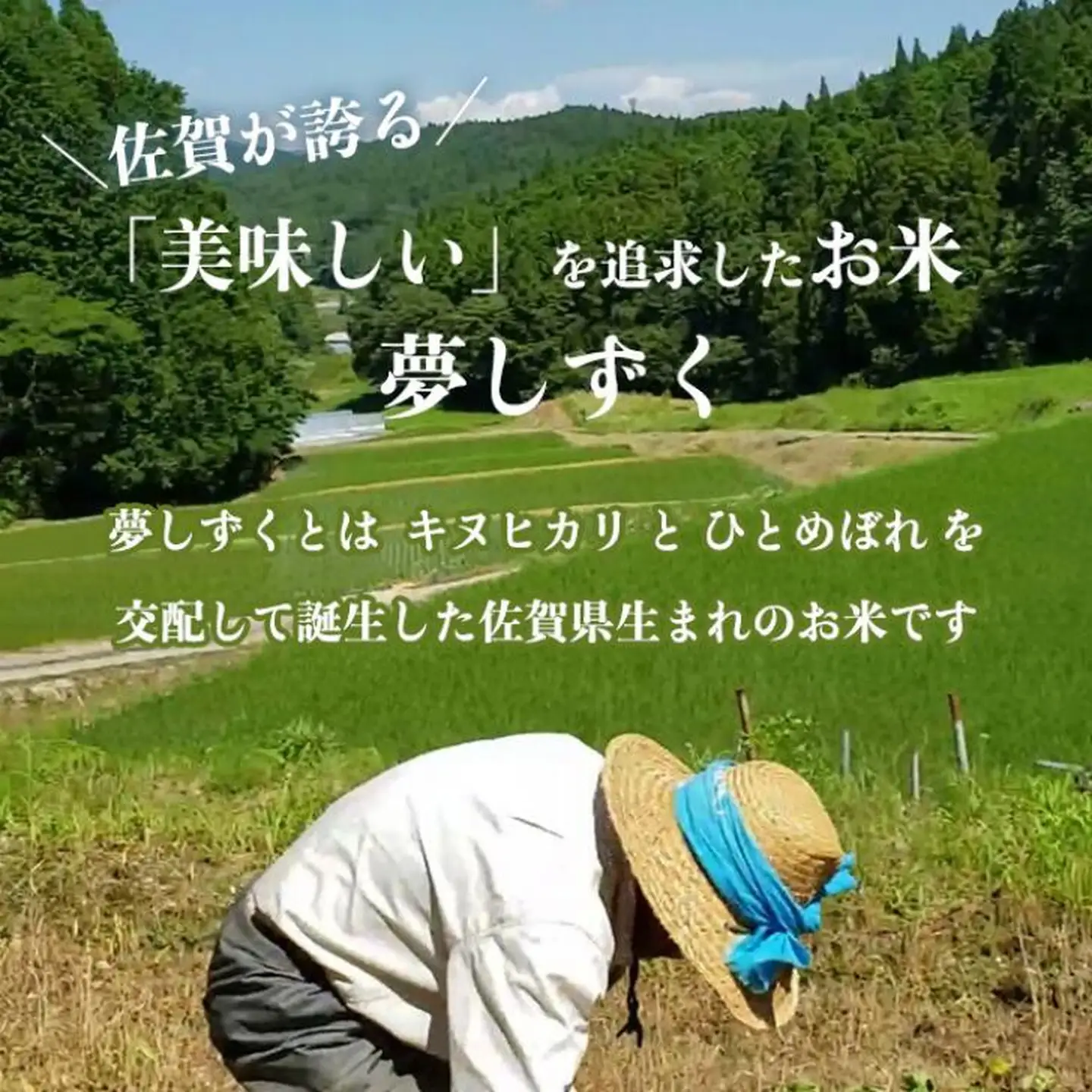 令和7年産 佐賀県産 夢しずく 5kg：B170-031