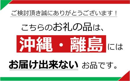 【ふるなび限定】栃木県矢板市産 樹上完熟100％りんごジュース 720ml×6本入  | 林檎 リンゴ 果汁100% 産地直送 FN-Limited-PR