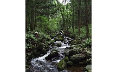 【ふるなび限定】【定期便3回】産地直送栃木県のブランド魚「プレミアムヤシオマス」の刺身 400g (200g×2パック)  [ 冷凍便 ] | 魚 ます 養殖 産地直送 栃木県 (毎月お届け）FN-Limited-PR
