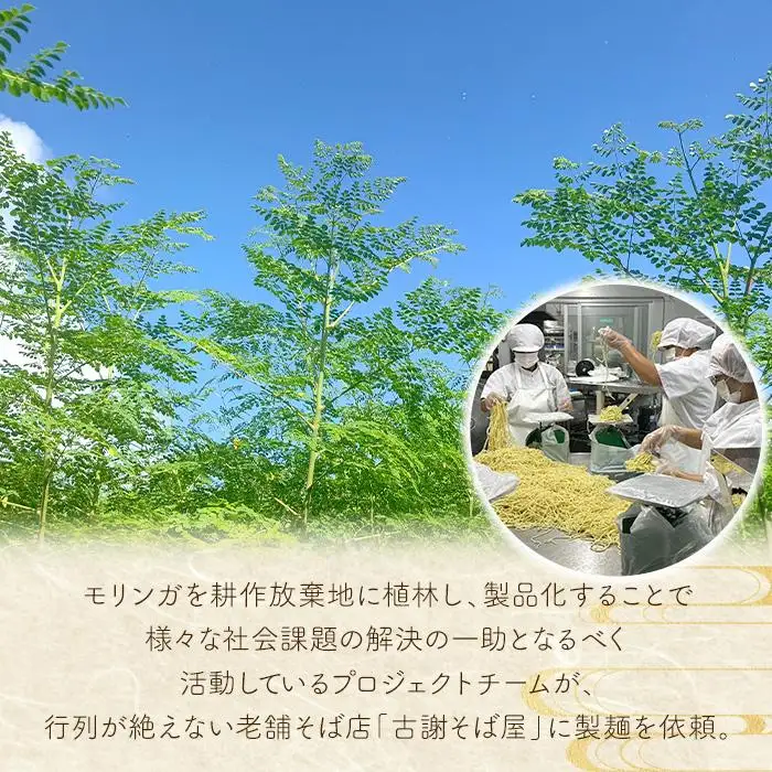 行列ができる宮古島のそば屋より直送　モリンガ宮古そば(2人前セット)（MP01）