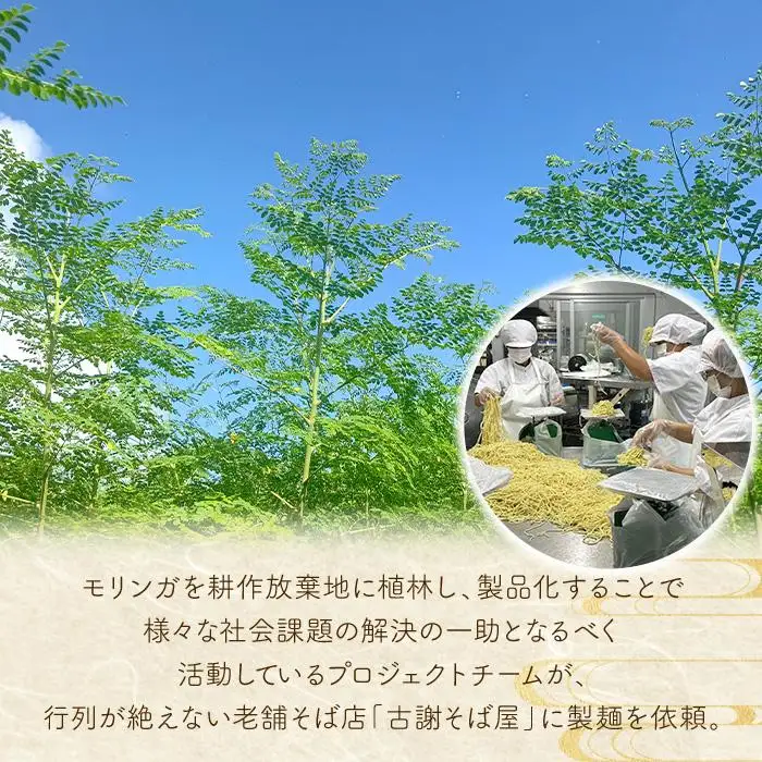 行列ができる宮古島のそば屋より直送　モリンガ宮古そば(10人前セット)（MP03）