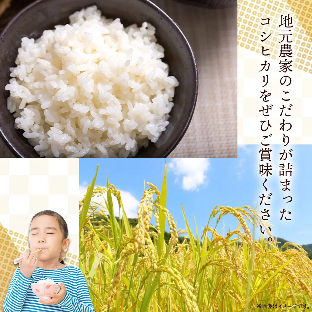 無洗米 令和7年産 コシヒカリ 無洗 cs-0002