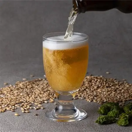 安城産大麦使用クラフトビール2種4本詰め合わせセット【配送不可地域：離島】【1669336】