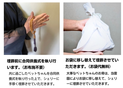 [平和台霊園] ペット専用永代供養墓「cheri」(シェリー) [0218]