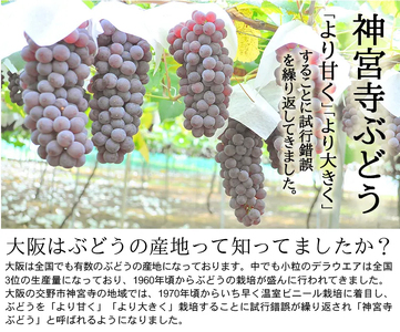 [先行予約] 神宮寺ぶどう (デラウエア) 1kg [0219]